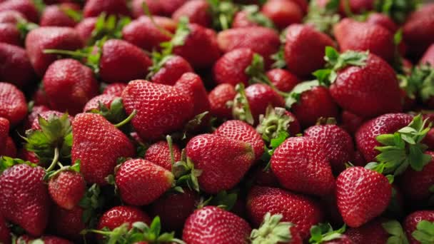 Vista superior de fondo 4k video de fresas — Vídeo de stock