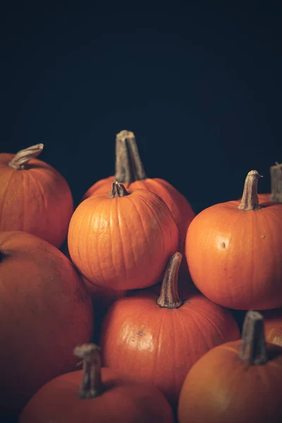 Montón de muchas calabazas naranja primer plano teñido foto — Foto de Stock