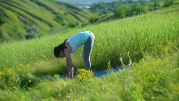 Jeune Femme Faisant Yoga Dans Prairie Verte Été Uttanasana — Video