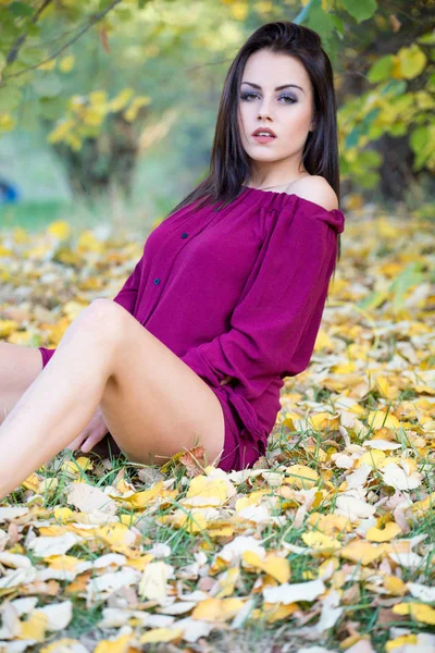 Mooie Brunette Vrouw Zittend Herfst Bladeren Park — Stockfoto