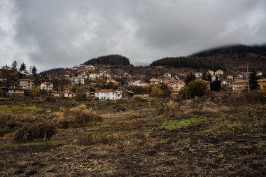 Ahşap arka plan üzerinde taze çilek yakın çekim