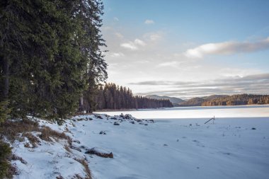 Kış şaşırtıcı karlı manzarası 