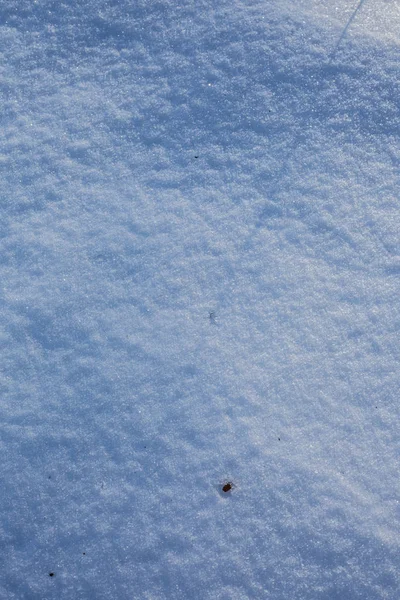 Winter Amazing Snowy Landscape — Stock Photo, Image