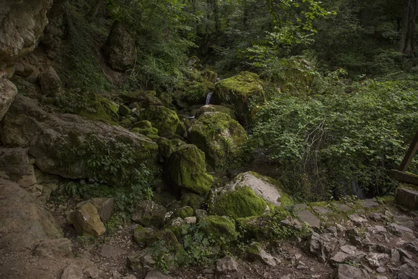 Nationaal Park Elbsandsteingebirge Duitsland — Stockfoto