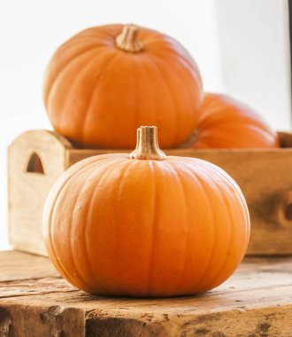 Küçük kabak yakın çekim