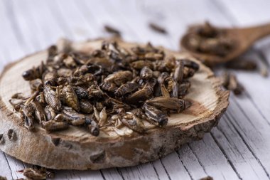 closeup of a pile of fried crickets seasoned with onion and barbecue sauce, in a wooden tray, on a rustic white wooden table clipart