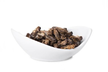 some fried crickets seasoned with onion and barbecue sauce in a white ceramic bowl, on a white background clipart