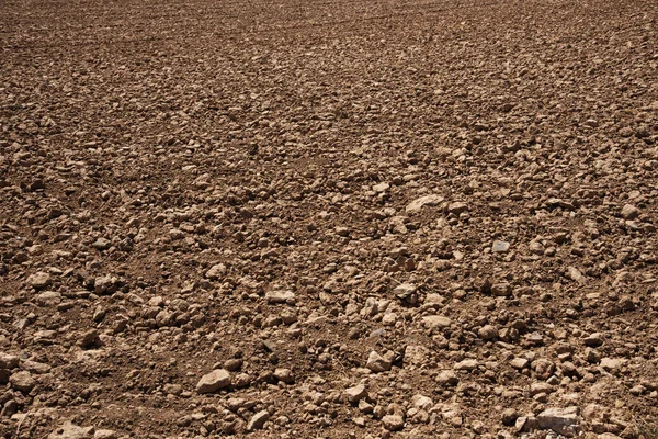 closeup of a freshly tilled dry land, with many stones