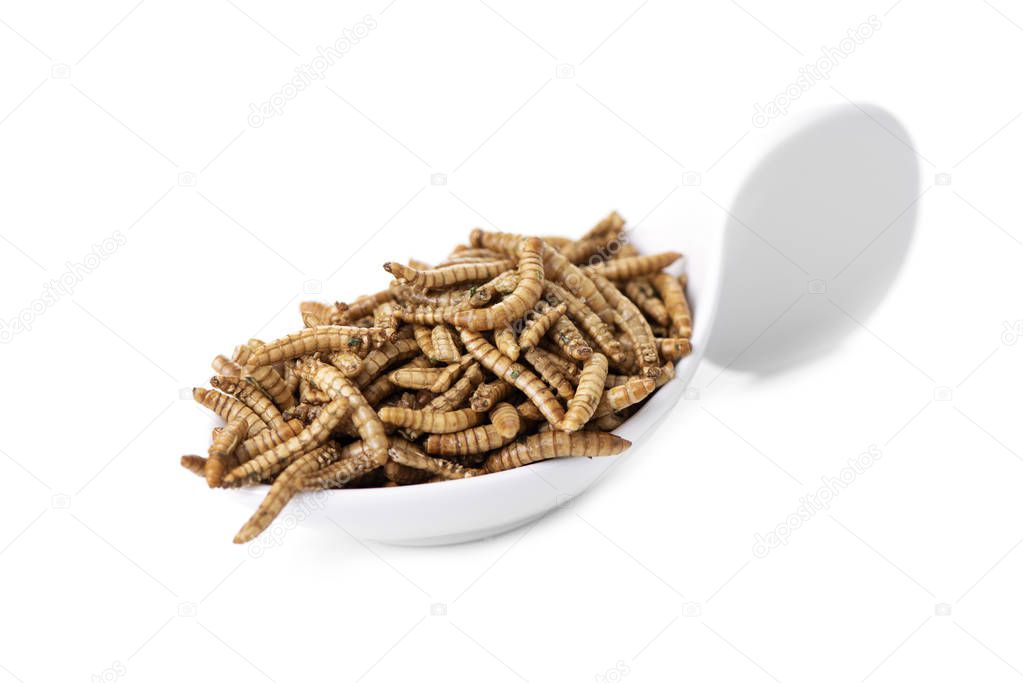 some fried worms seasoned with garlic and herbs in a white ceramic bowl, on a white background