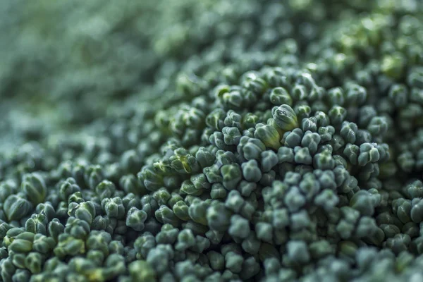 Close Van Een Stam Van Rauwe Broccoli Gemaakt Met Een — Stockfoto