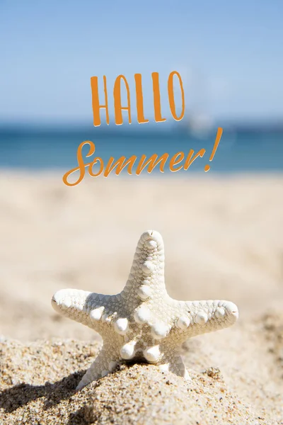 Closeup Starfish Sand Beach Sea Background Text Hallo Sommer Hello — Stock Photo, Image