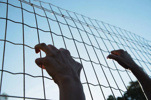 Closeup Hands Man Trying Climb Metal Fence — Stock Photo, Image