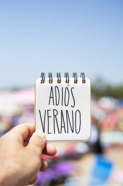 tatlı genç bir beyaz adam olarak gösterilen bir sarmal notepad metni ile adios verano, bir plaj sahil el içinde el yazısı İspanyolca, güle güle yaz
