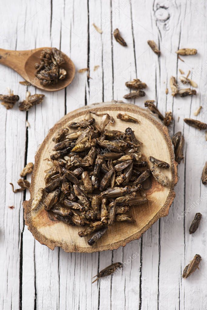 high angle view of a pile of fried crickets seasoned with onion and barbecue sauce, in a wooden tray, on a rustic white wooden table