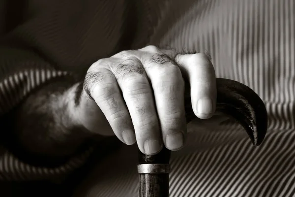 Closeup Hands Old Caucasian Man Walking Stick Sepia Toning — Stock Photo, Image