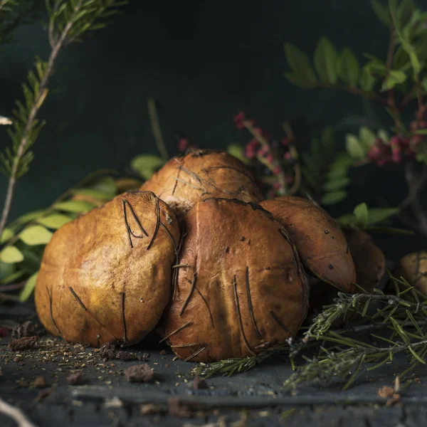 Gros Plan Quelques Champignons Chevaliers Jaunes Également Connus Sous Nom — Photo