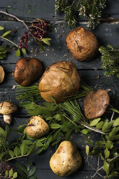 Hög Vinkel Syn Hög Med Gula Knight Svamp Även Känd — Stockfoto