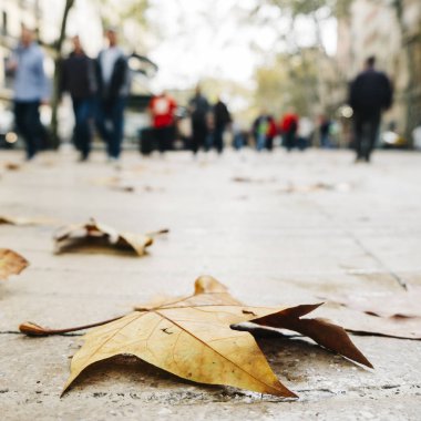 yağmurlu bir günde, Barselona, İspanya, La Ramba Caddesi'nin kaldırım üzerinde bazı kuru yaprakları ile bazı tanınmayan insanlar içinde belgili tanımlık geçmiş closeup