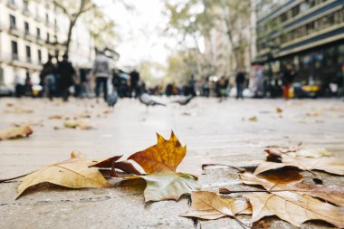 yağmurlu bir günde, Barselona, İspanya, La Ramba Caddesi'nin kaldırım üzerinde bazı kuru yaprakları ile bazı tanınmayan insanlar içinde belgili tanımlık geçmiş closeup