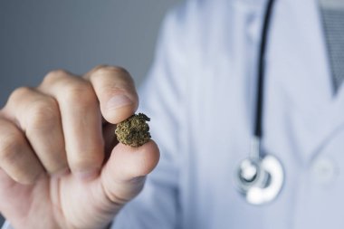 closeup of a caucasian doctor man, in a white coat, with a marihuana bud in his hand clipart