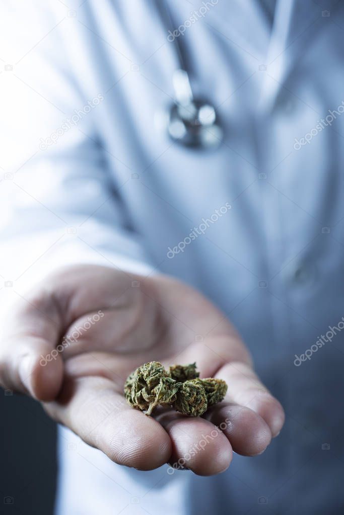 closeup of a caucasian doctor man, in a white coat, with a marihuana bud in his hand