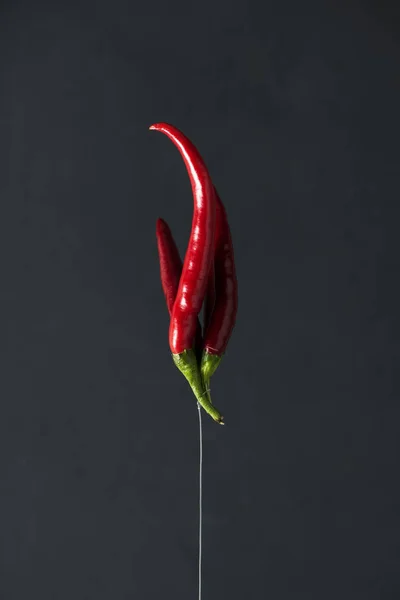 Closeup Bunch Red Chili Peppers Hanging Upside Nylon String Dark — Stock Photo, Image