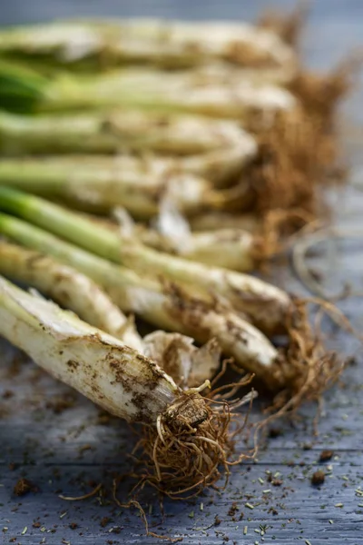 Closeup Some Raw Calcots Sweet Onions Typical Catalonia Spain Rustic — Stock Photo, Image