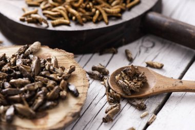 Kızarmış cırcır soğan ve barbekü sosu ile terbiyeli ve sarımsak ve otlar, ahşap tepsiye bir rustik Beyaz ahşap masa üzerinde ile terbiyeli biraz kızarmış solucan yığını closeup