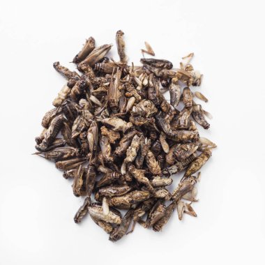 high angle view of a pile of fried crickets seasoned with onion and barbecue sauce, on a white background clipart