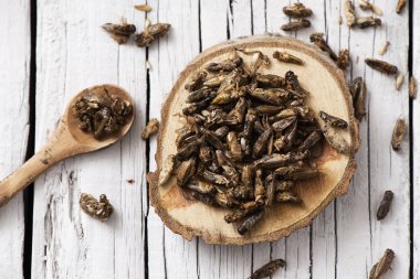 high angle view of a pile of fried crickets seasoned with onion and barbecue sauce, on a wooden tray, on a rustic white wooden table clipart