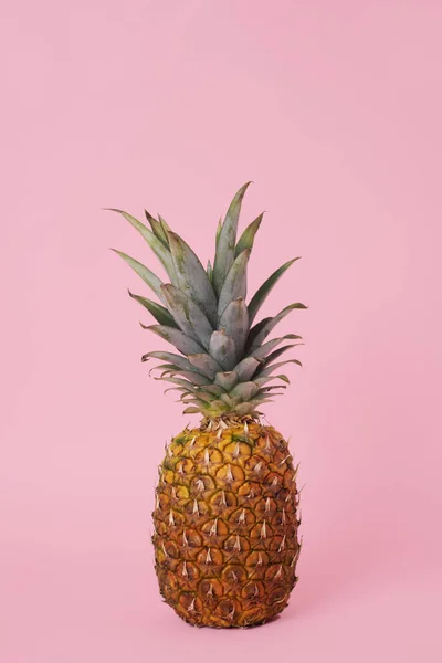 粉红背景的菠萝 — 图库照片