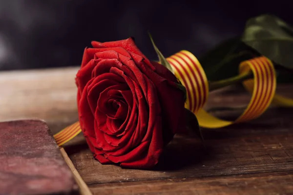 Книга, красная роза и каталанский флаг — стоковое фото