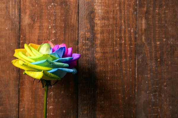 Regenboog Rose op een houten makkelijk — Stockfoto