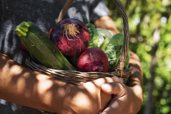 Giovane con un cesto pieno di verdure — Foto Stock