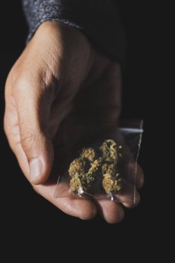 marihuana tomurcukları bir çanta ile genç adam