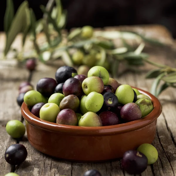 Aceitunas arbequinas de Cataluña, España — Foto de Stock