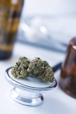 bir doktor masasında marihuana tomurcukları