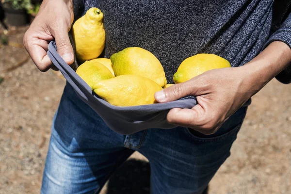 Man carrying lemons in his sweater — Stock Photo, Image