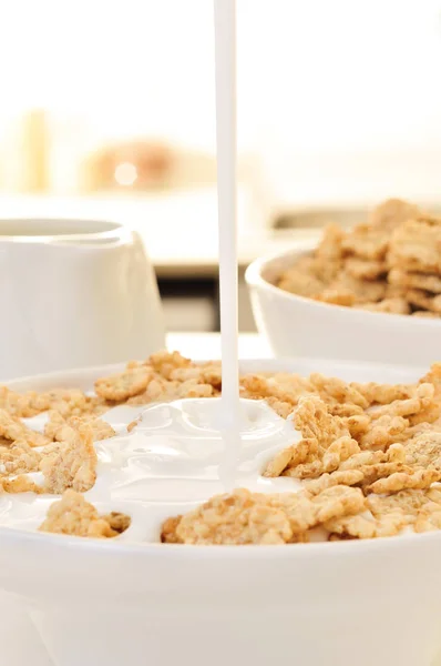 Cereales empapados en leche o yogur bebible — Foto de Stock