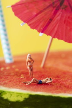 miniature man and woman in swimsuit on watermelo clipart