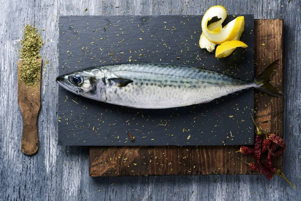 Rohe frische Makrele auf einem Schieferblech — Stockfoto