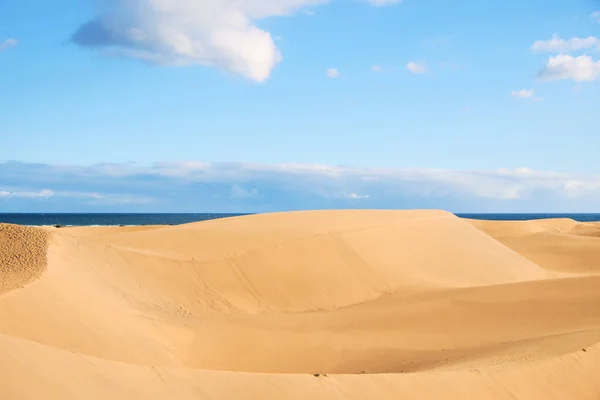 Αμμόλοφους της Maspalomas σε Γκραν Κανάρια, σπαει — Φωτογραφία Αρχείου