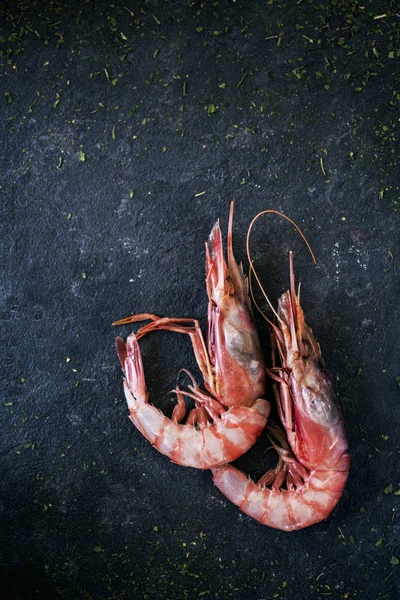 新鲜生地中海虾 — 图库照片