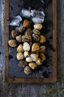 bir kayrak tra taze ham istiridye