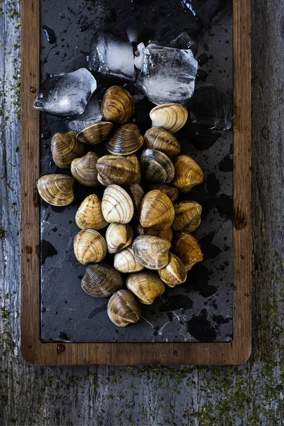 bir kayrak tra taze ham istiridye