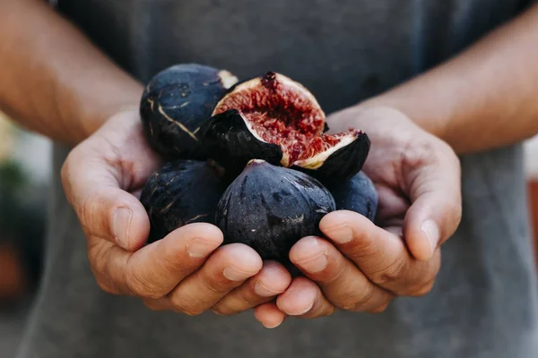 Uomo con alcuni fichi nelle mani — Foto Stock