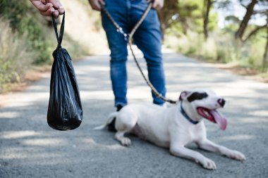 erkek ve kadın köpek yürüyüş