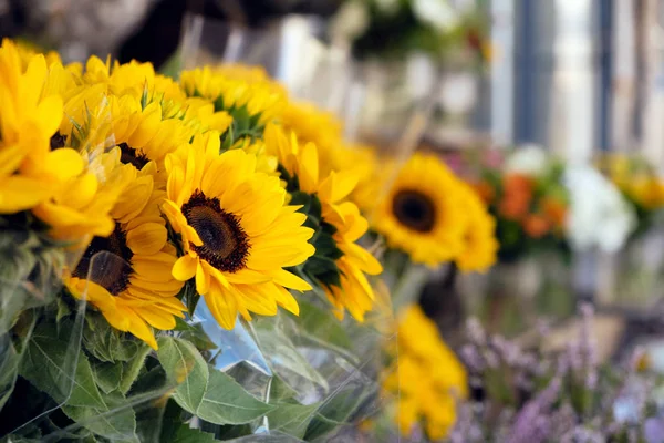 Sunflower bouquets on sale on the street — Stock Photo, Image