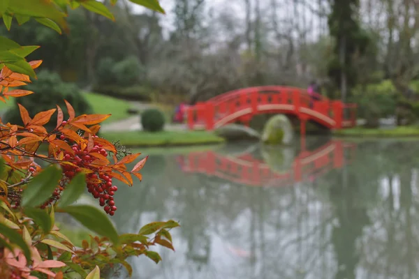 Pierre Baudis Jardim japonês em Toulouse, Franc — Fotografia de Stock