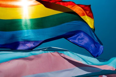 closeup of a gay pride flag and a transgender pride flag waving on the blue sky, moved by the wind, with the sun in the background clipart